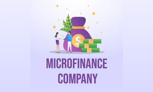 Microfinance Company