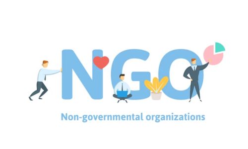 NGO / Section 8 Company