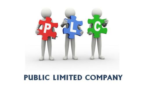Public Limited Company